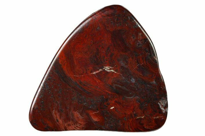 Polished Stromatolite (Collenia) - Minnesota #136918
